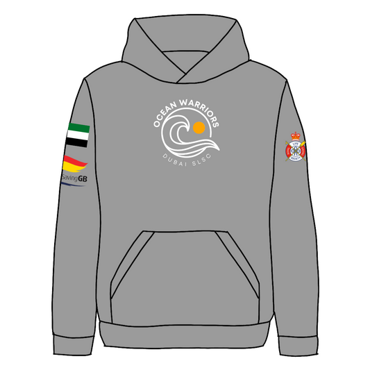 Hoodie - Grey